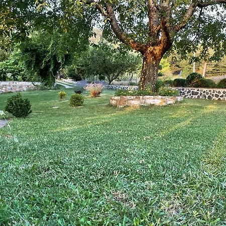 Bujtina Bezhani Gjinar Elbasan Exterior photo