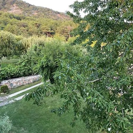 Bujtina Bezhani Gjinar Elbasan Exterior photo