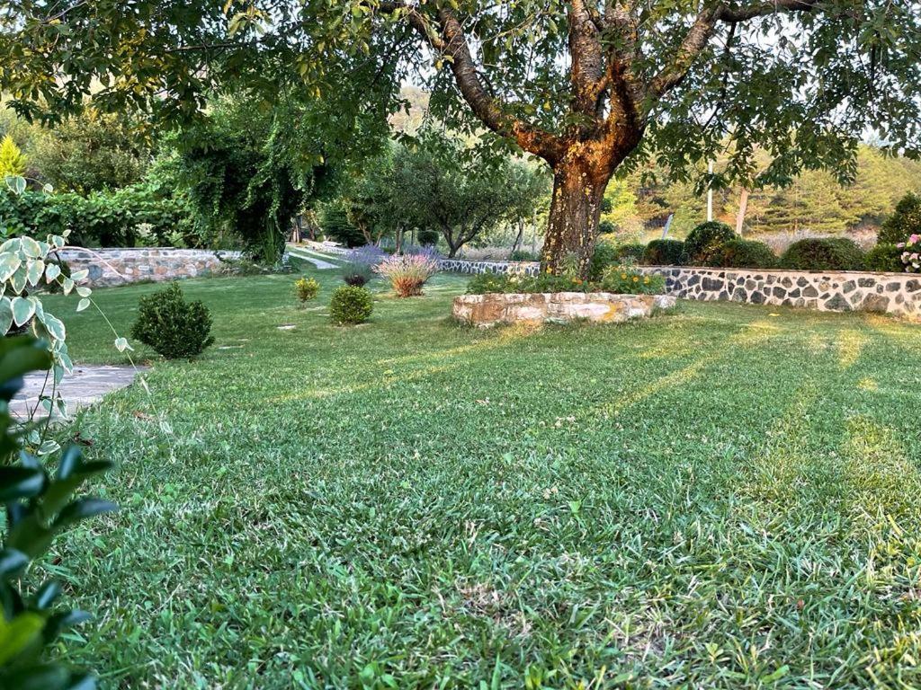 Bujtina Bezhani Gjinar Elbasan